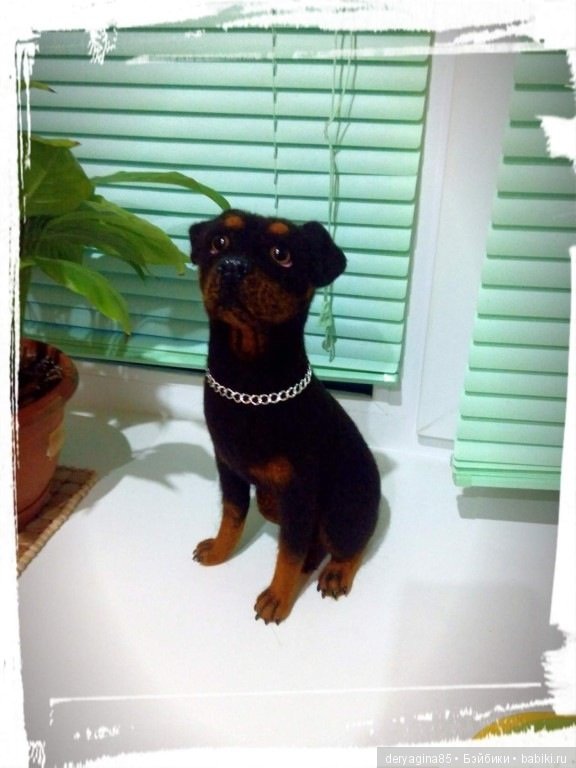 Ротвейлер — Валяные игрушки из шерсти: сухое валяние (фото 2)