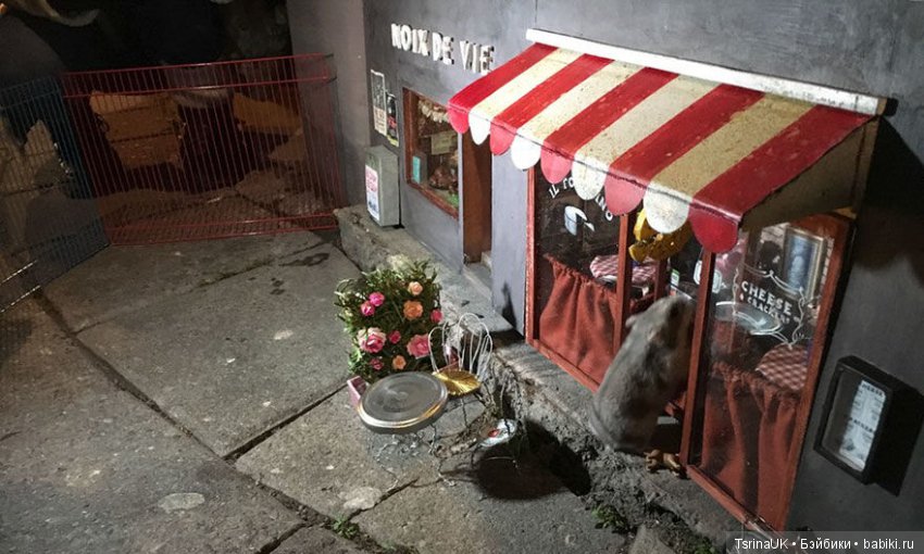 Кафе и магазинчик для мышек