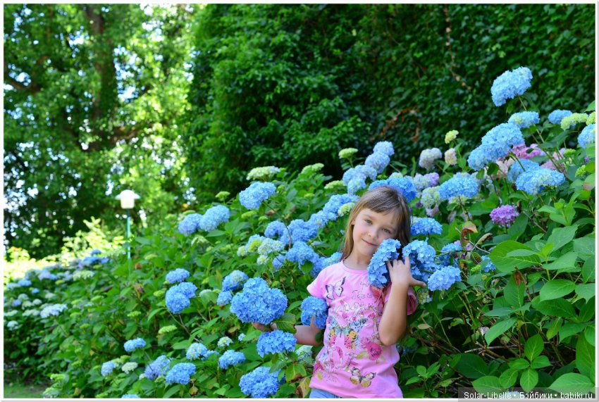 Дворец Холленегг в Австрии (фото 9)