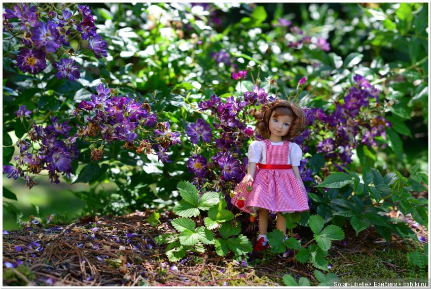 Дворец Холленегг в Австрии