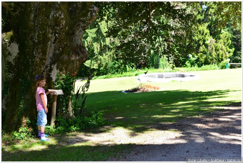 Дворец Холленегг в Австрии (фото 10)