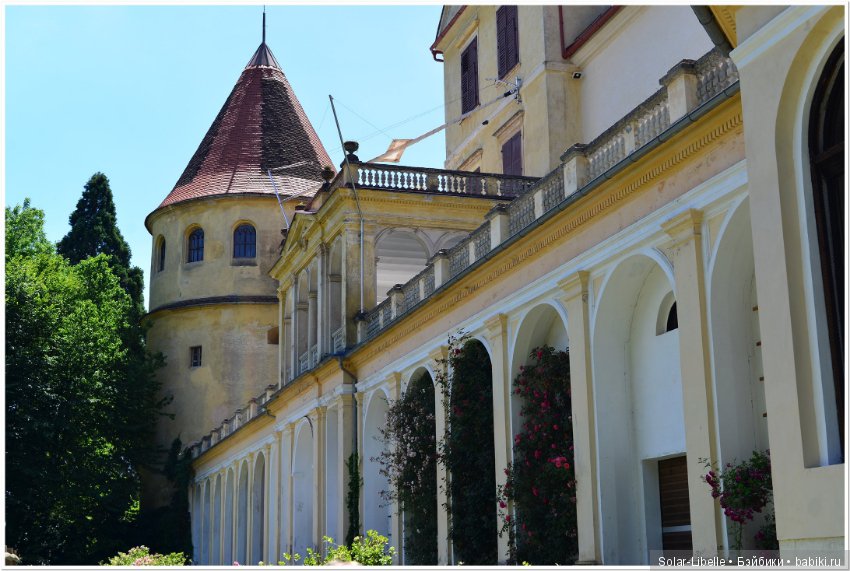 Дворец Холленегг в Австрии (фото 5)