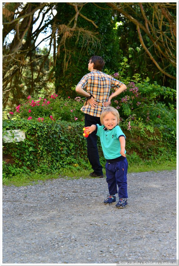 Дворец Холленегг в Австрии