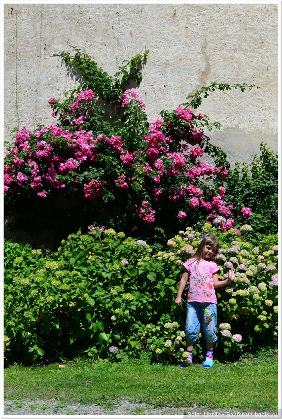 Дворец Холленегг в Австрии