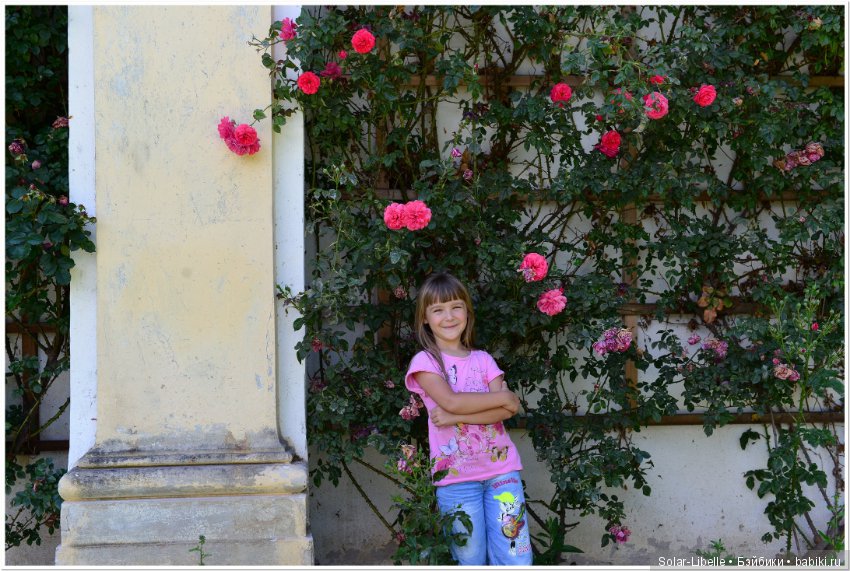 Дворец Холленегг в Австрии (фото 6)