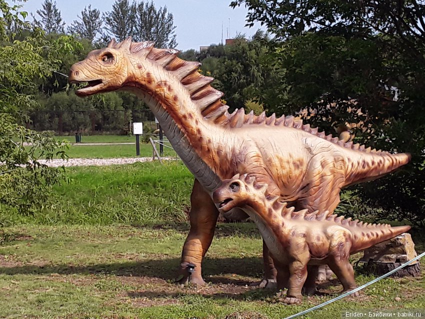 А есть кто из Минска — Болталка и разговоры обо всем: жизнь (фото 3)