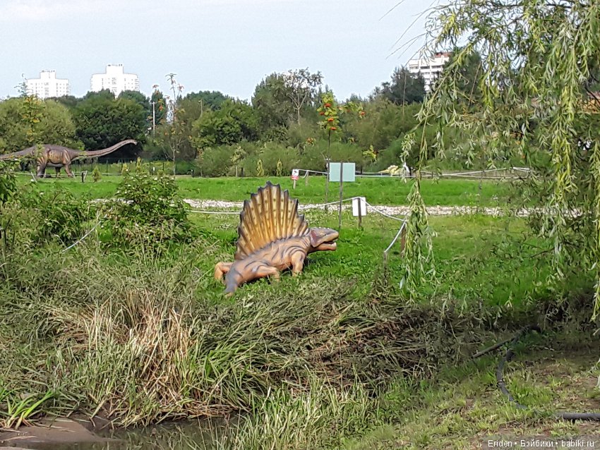 А есть кто из Минска — Болталка и разговоры обо всем: жизнь (фото 2)