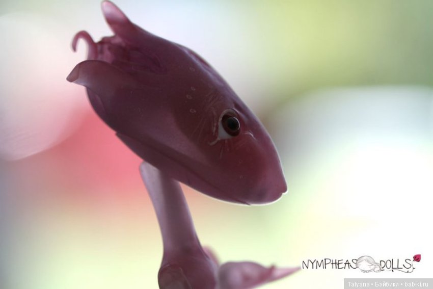 Nympheasdolls, продают крошку Brindille (фото 2)