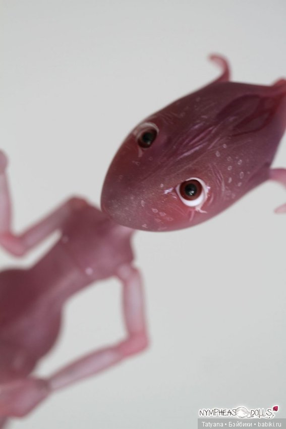 Nympheasdolls, продают крошку Brindille (фото 3)