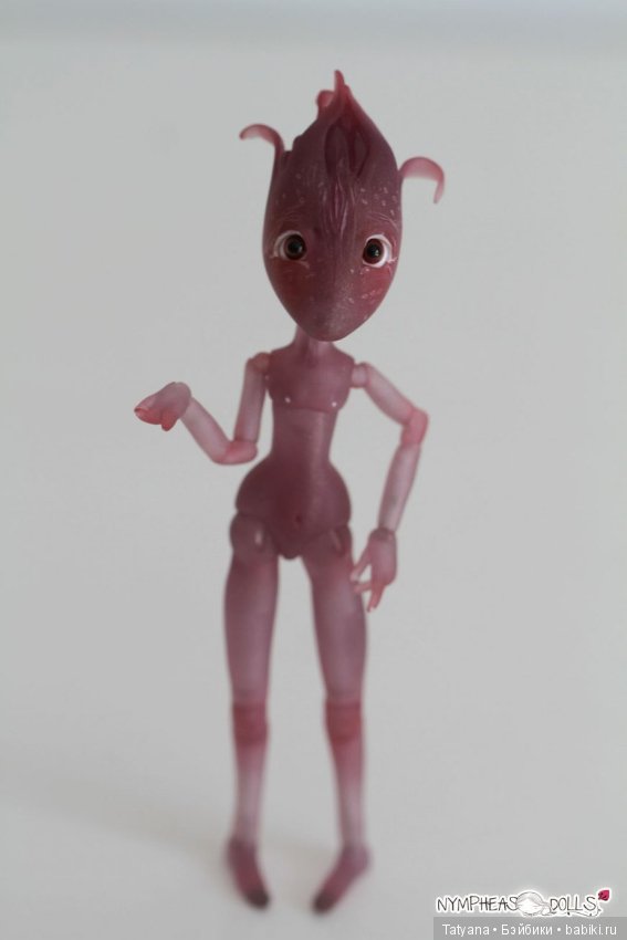 Nympheasdolls, продают крошку Brindille (фото 4)