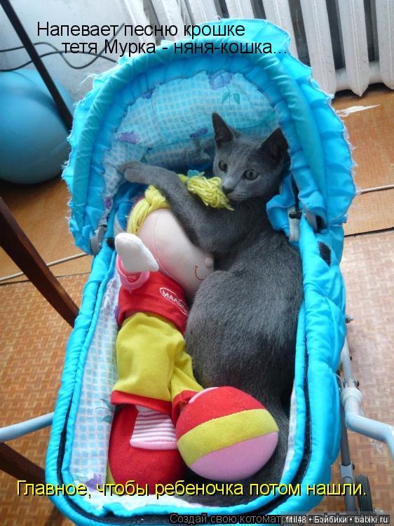 Кошки - лучшие няньки — Интересное обо всем: поздравления