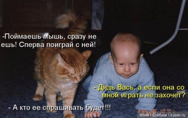 Кошки - лучшие няньки — Интересное обо всем: поздравления