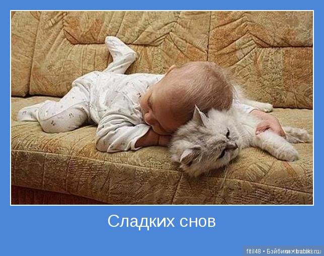 Кошки - лучшие няньки — Интересное обо всем: поздравления