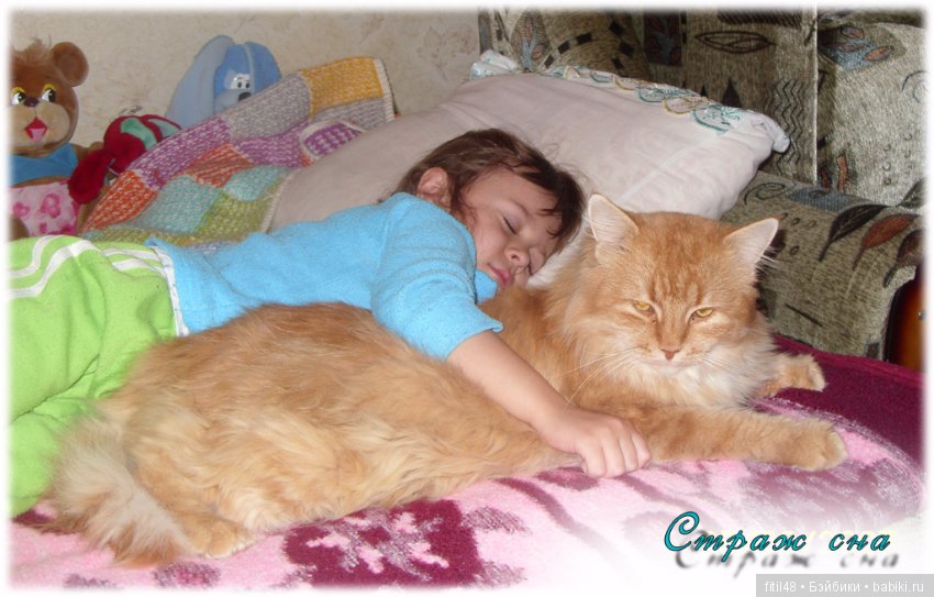 Кошки - лучшие няньки — Интересное обо всем: поздравления (фото 9)