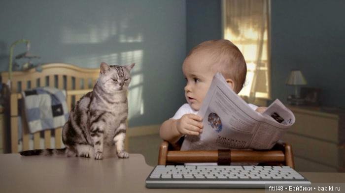 Кошки - лучшие няньки — Интересное обо всем: поздравления