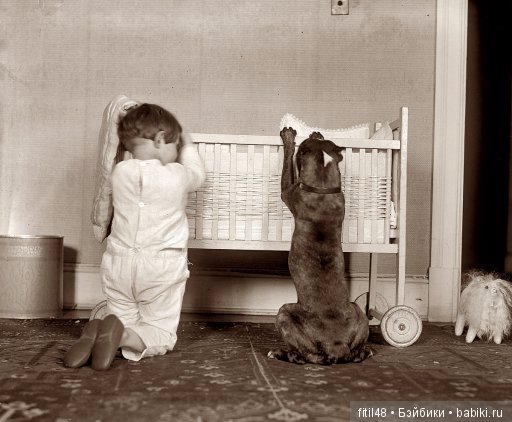 Кошки - лучшие няньки — Интересное обо всем: поздравления