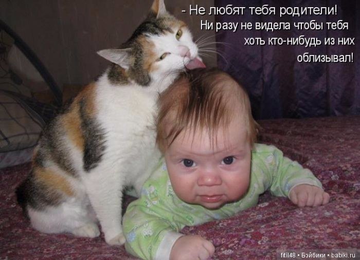 Кошки - лучшие няньки — Интересное обо всем: поздравления