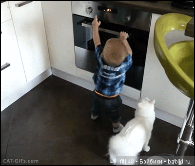 Кошки - лучшие няньки — Интересное обо всем: поздравления