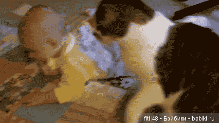 Кошки - лучшие няньки — Интересное обо всем: поздравления