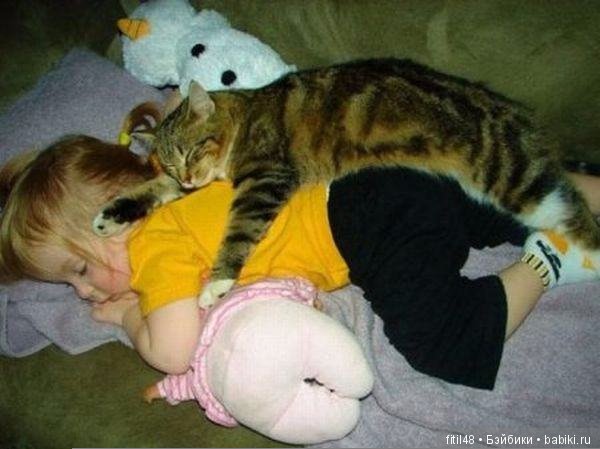 Кошки - лучшие няньки — Интересное обо всем: поздравления
