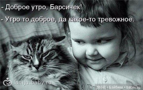 Кошки - лучшие няньки — Интересное обо всем: поздравления