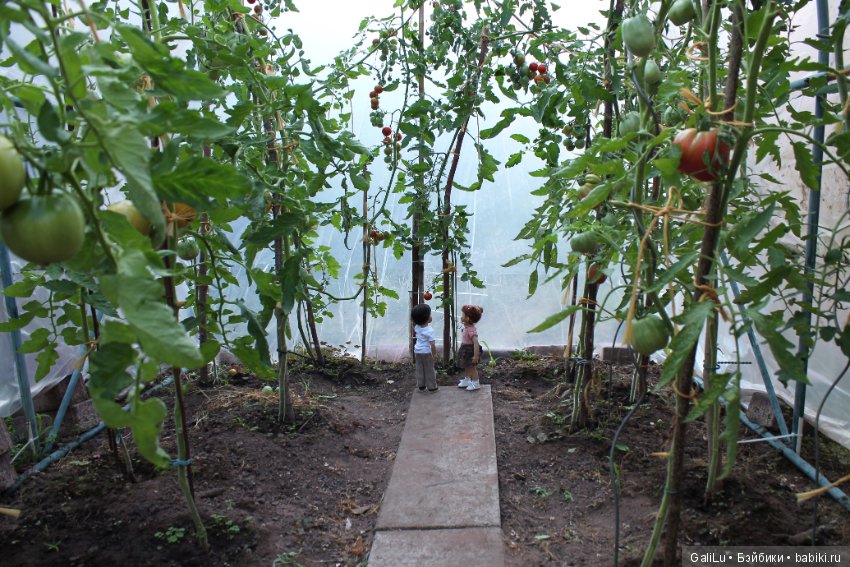 Traudel от Heidi Plusczok, Хайди Плюсцок