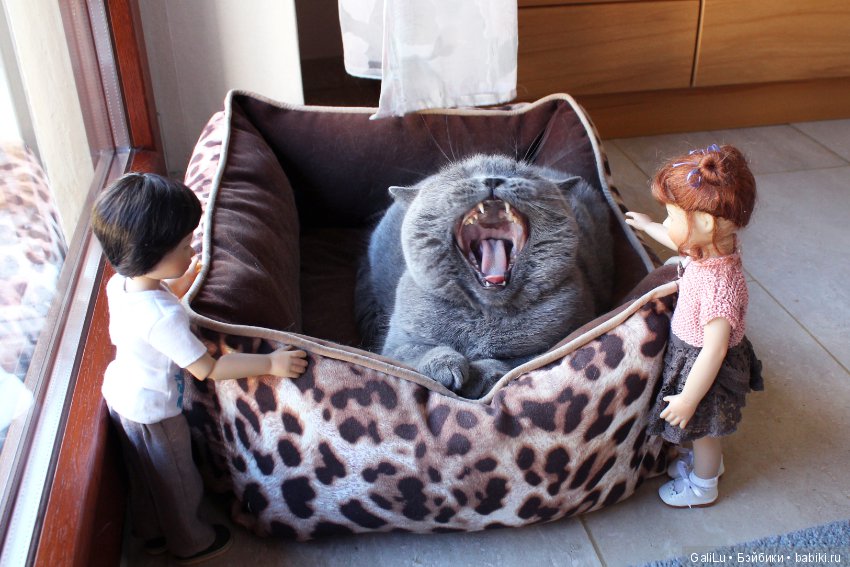 Traudel от Heidi Plusczok, Хайди Плюсцок