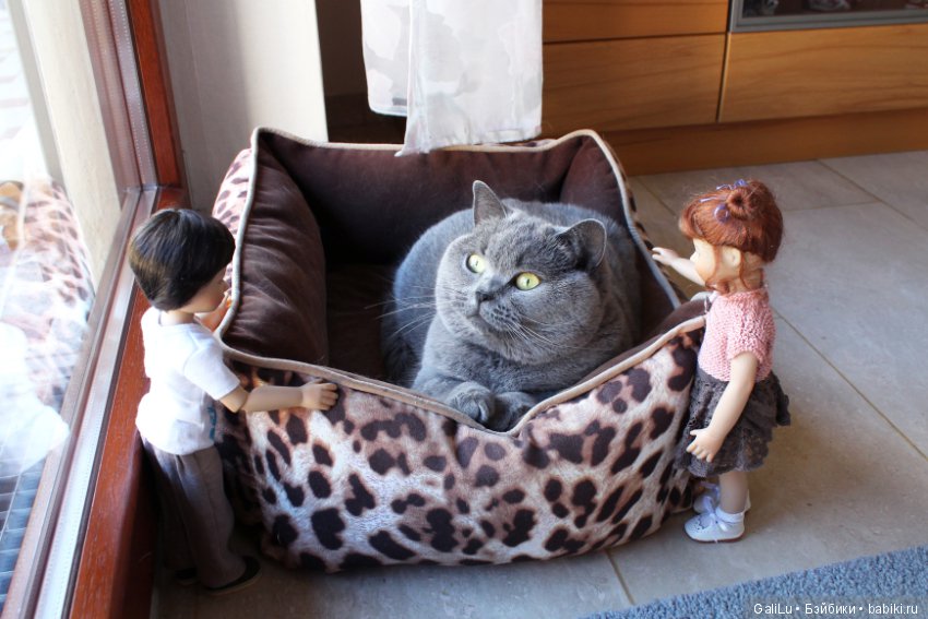 Traudel от Heidi Plusczok, Хайди Плюсцок