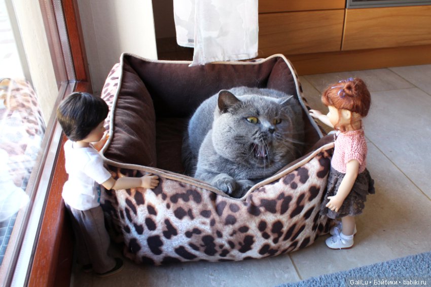 Traudel от Heidi Plusczok, Хайди Плюсцок