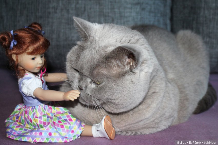 Traudel от Heidi Plusczok, Хайди Плюсцок