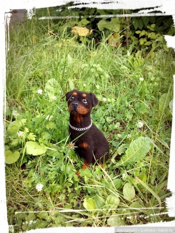 Мои собачки на прогулке — Валяные игрушки из шерсти: сухое валяние (фото 7)