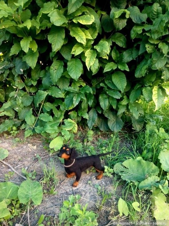 Такса, игрушка ручной работы (фото 9)