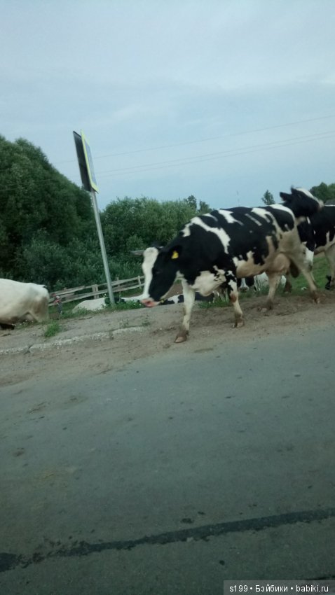 Немного лета всё же было — Домашние фото авторских кукол: личные коллекции