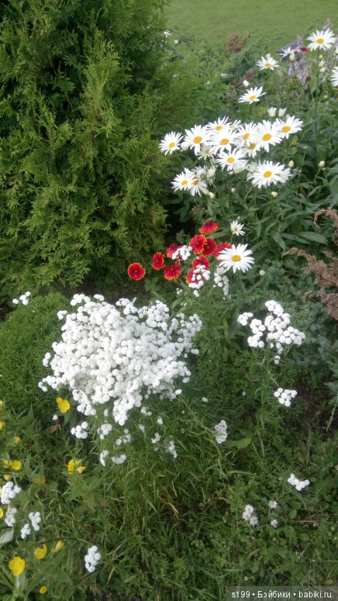 Немного лета всё же было — Домашние фото авторских кукол: личные коллекции (фото 5)