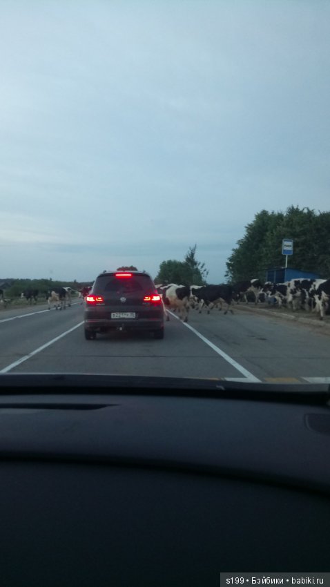 Немного лета всё же было — Домашние фото авторских кукол: личные коллекции