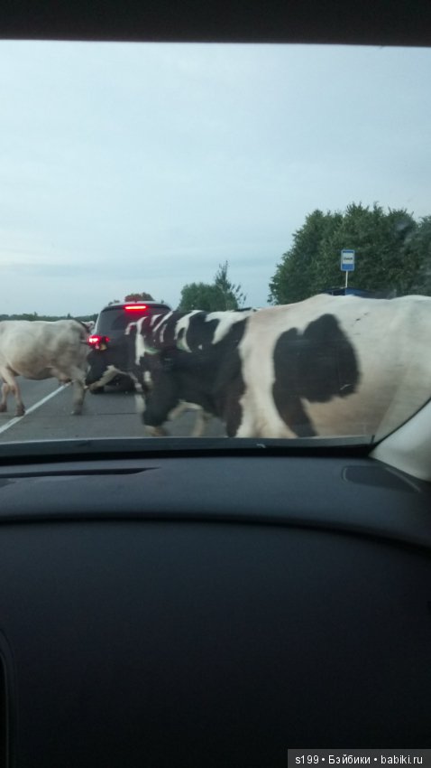 Немного лета всё же было — Домашние фото авторских кукол: личные коллекции