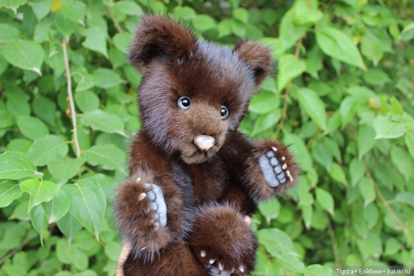 Потапка на прогулке — Авторские мишки Тедди и друзья: фото (фото 3)