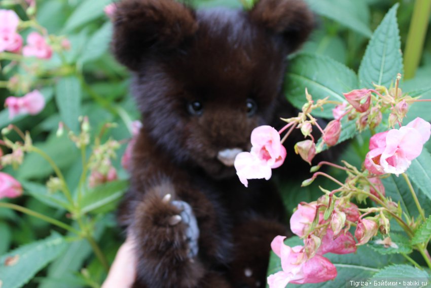 Потапка на прогулке — Авторские мишки Тедди и друзья: фото