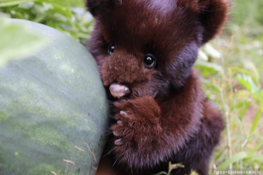 Потапка на прогулке — Авторские мишки Тедди и друзья: фото (фото 5)