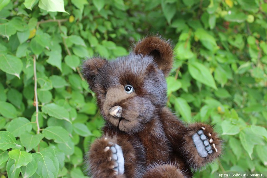 Потапка на прогулке — Авторские мишки Тедди и друзья: фото (фото 4)