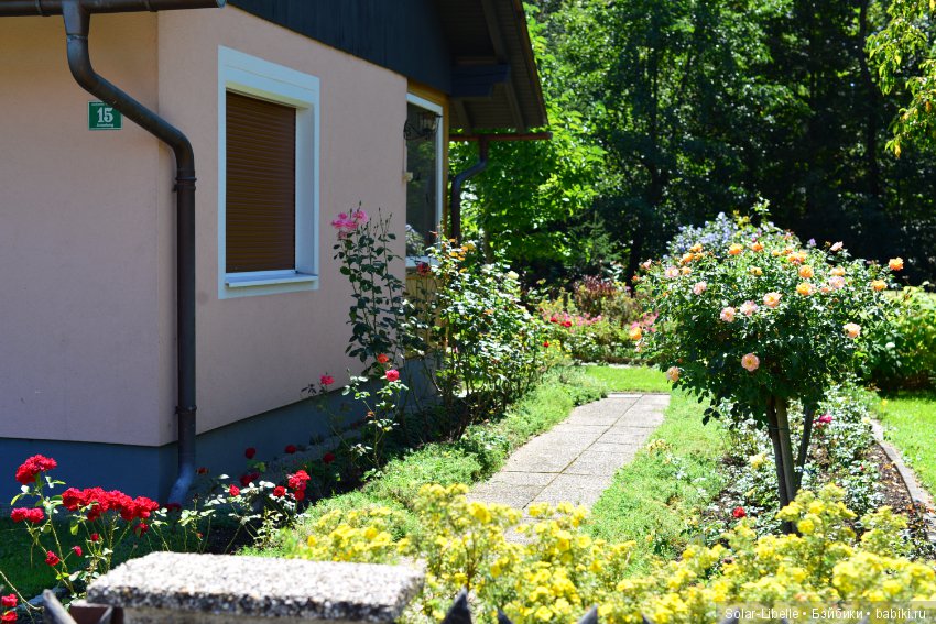 Элена австрийская и прогулка во Фрауэнталь