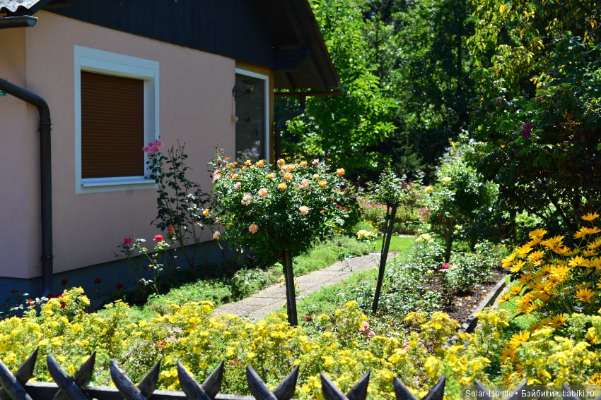 Элена австрийская и прогулка во Фрауэнталь