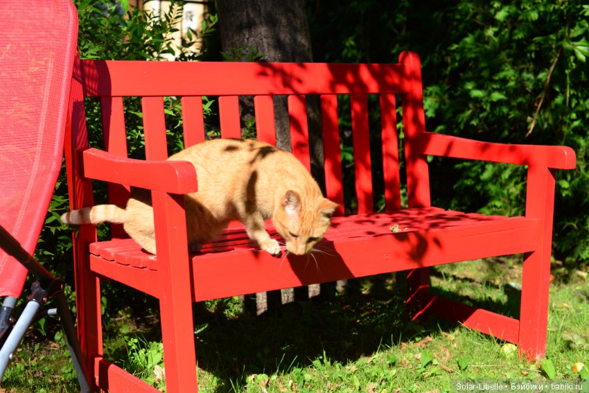 Элена австрийская и прогулка во Фрауэнталь