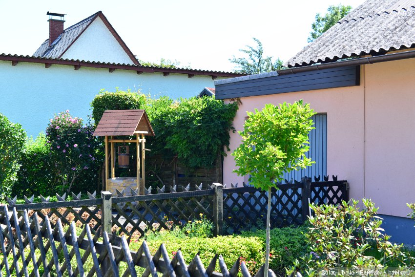 Элена австрийская и прогулка во Фрауэнталь