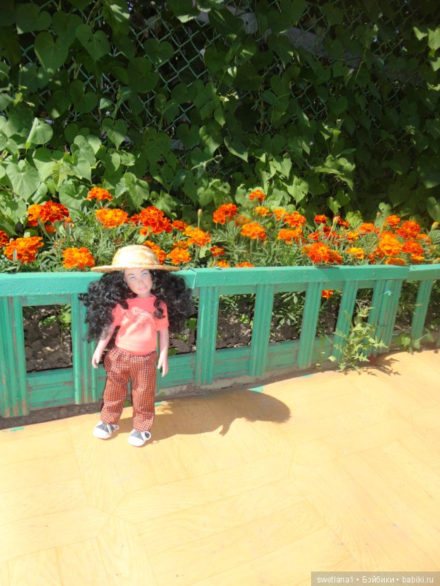 Лето. Август. Солнца круг. И кузнечики трещат (фото 8)