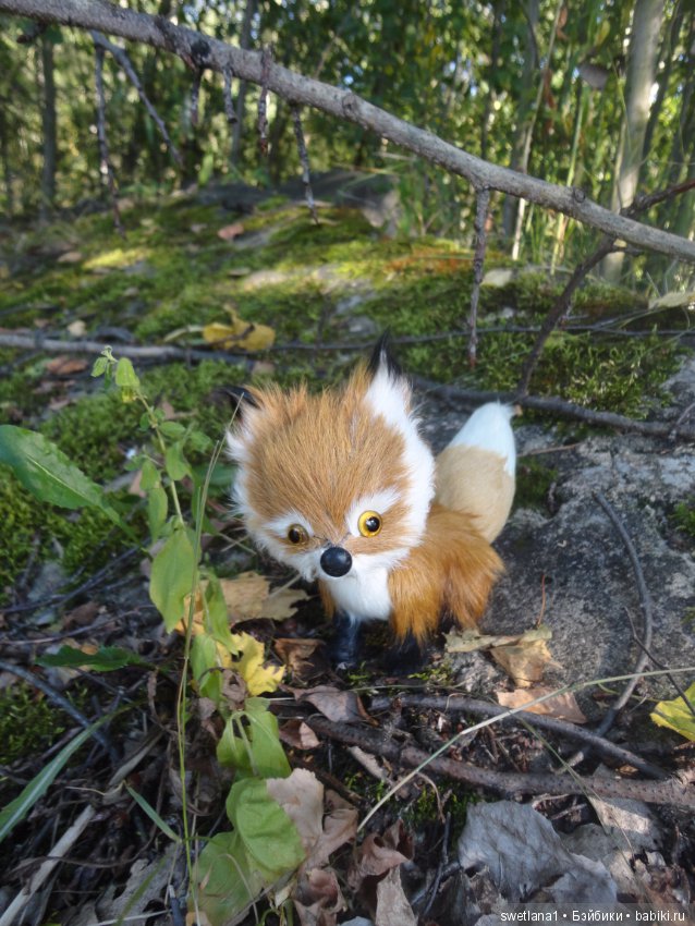 Лето. Август. Солнца круг. И кузнечики трещат
