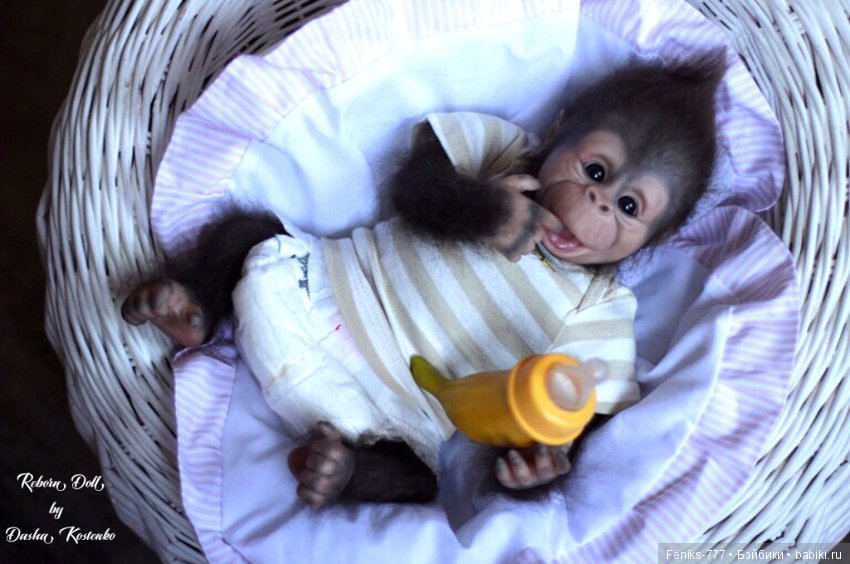 Гарик-удивительный малыш! Обезьянка реборн Даши Костенко