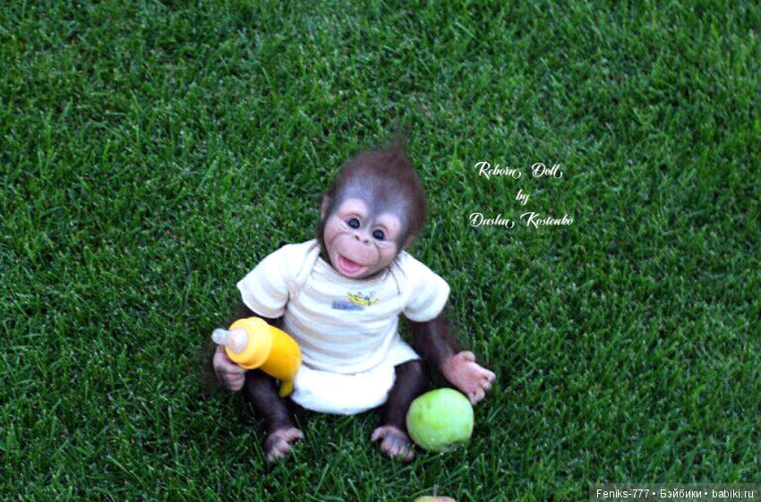 Гарик-удивительный малыш! Обезьянка реборн Даши Костенко