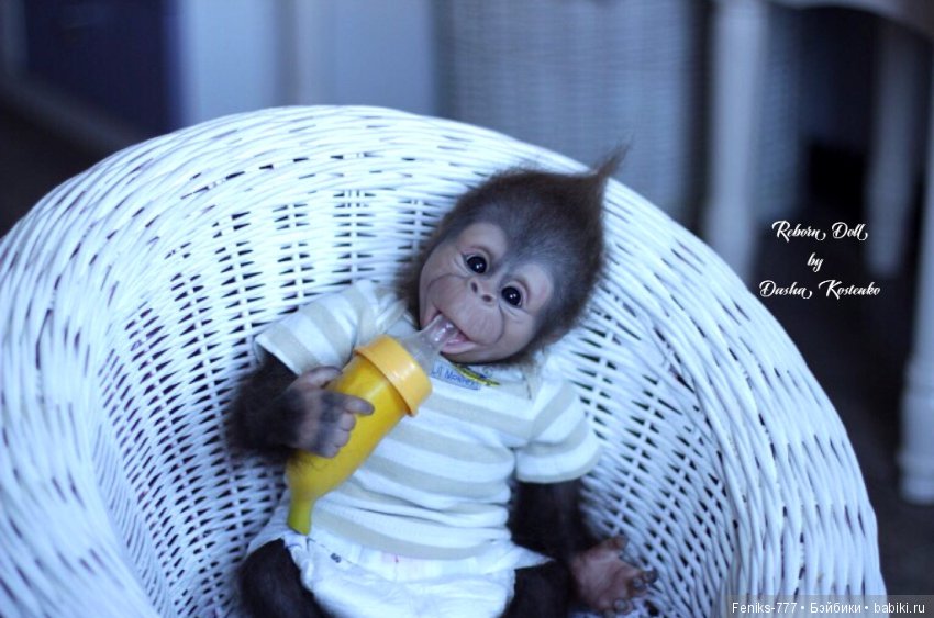 Гарик-удивительный малыш! Обезьянка реборн Даши Костенко