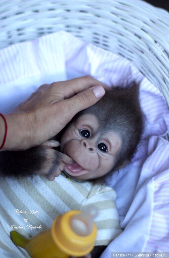 Гарик-удивительный малыш! Обезьянка реборн Даши Костенко
